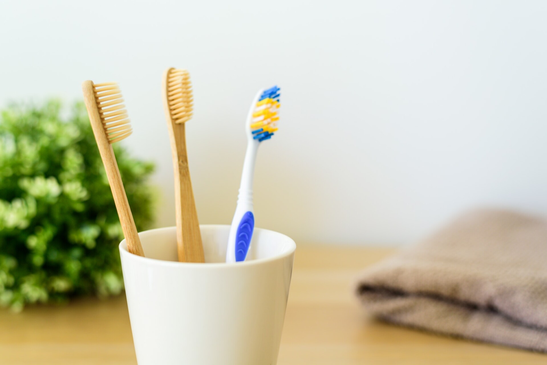 Zero waste concept - tooth brush